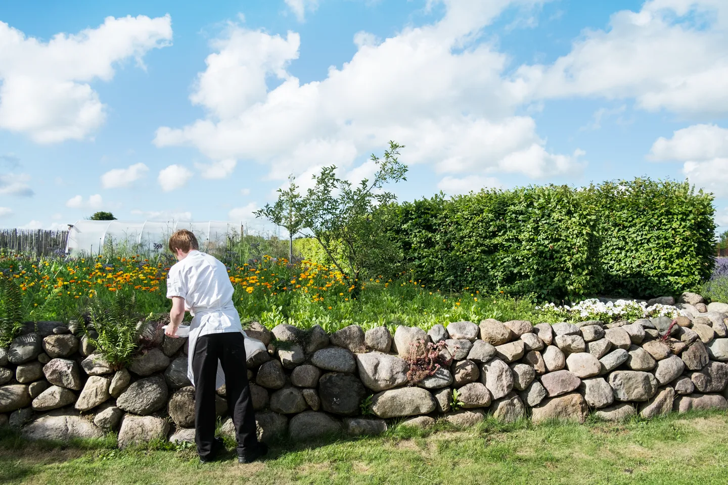 Read our article about tips & tricks for a sustainable restaurant or bakery/pastry shops.