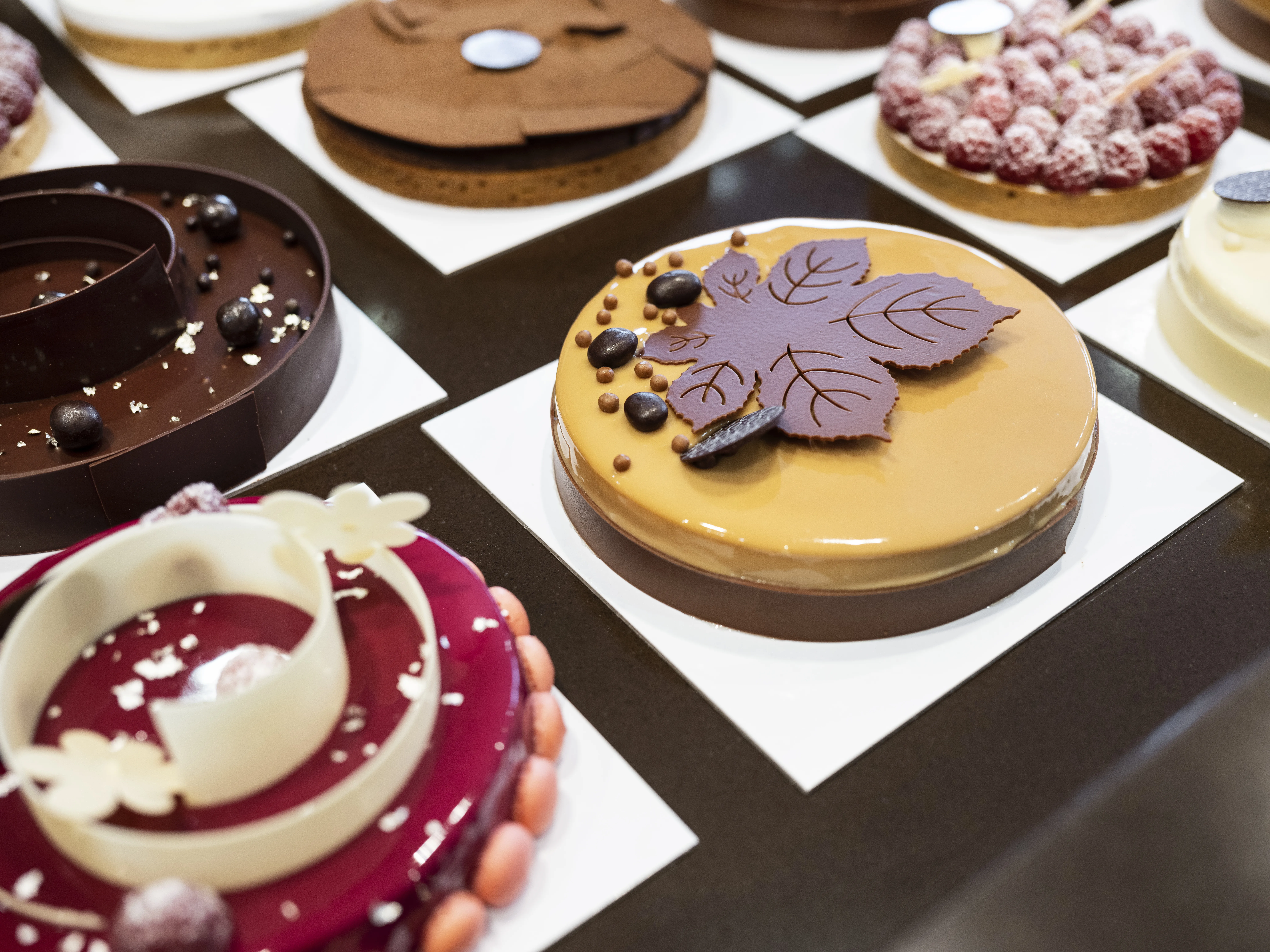 Découvrez tout sur les biscuits dans cet article.