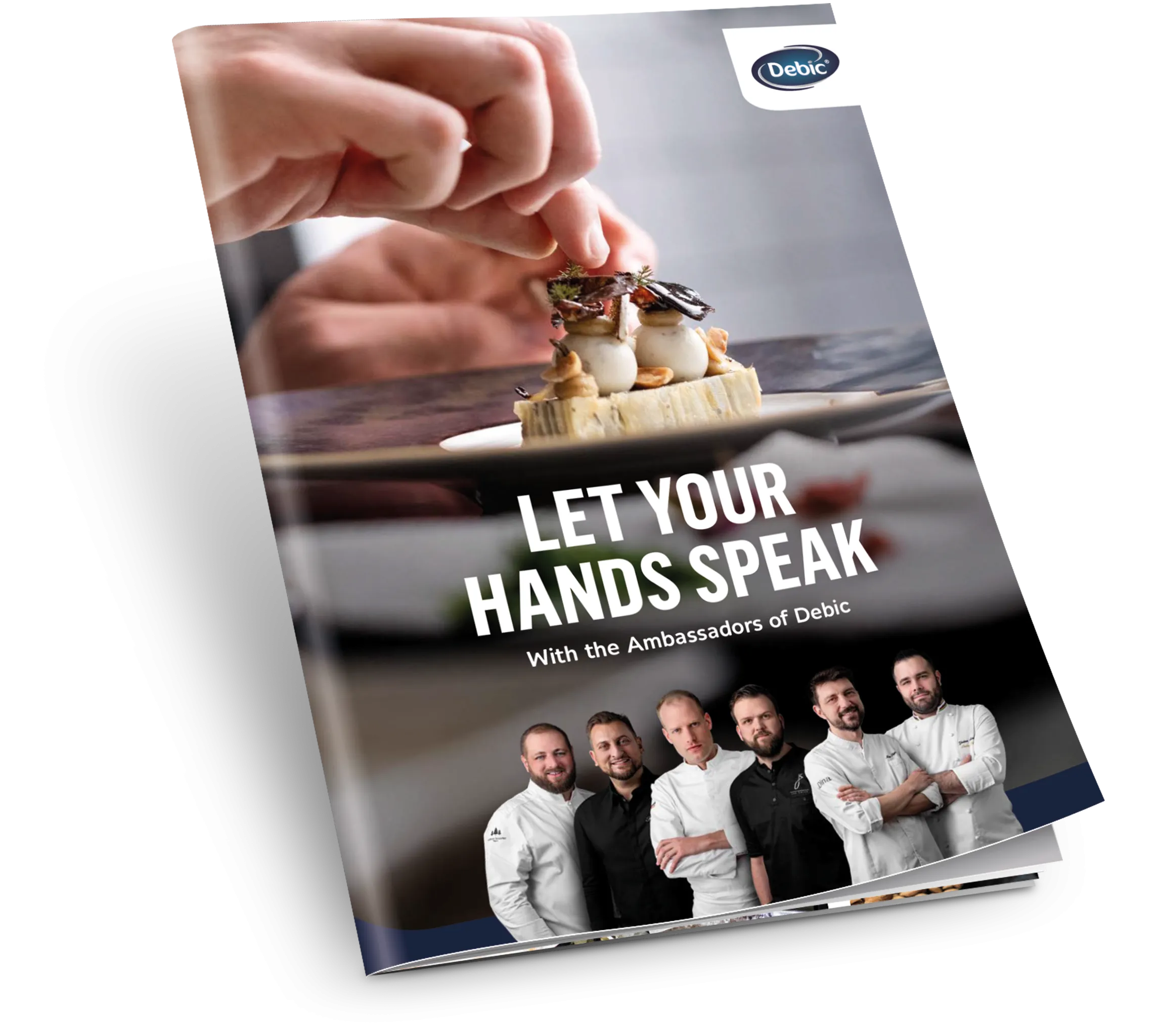 Download our free brochure - photo 3863499-1 | Debic