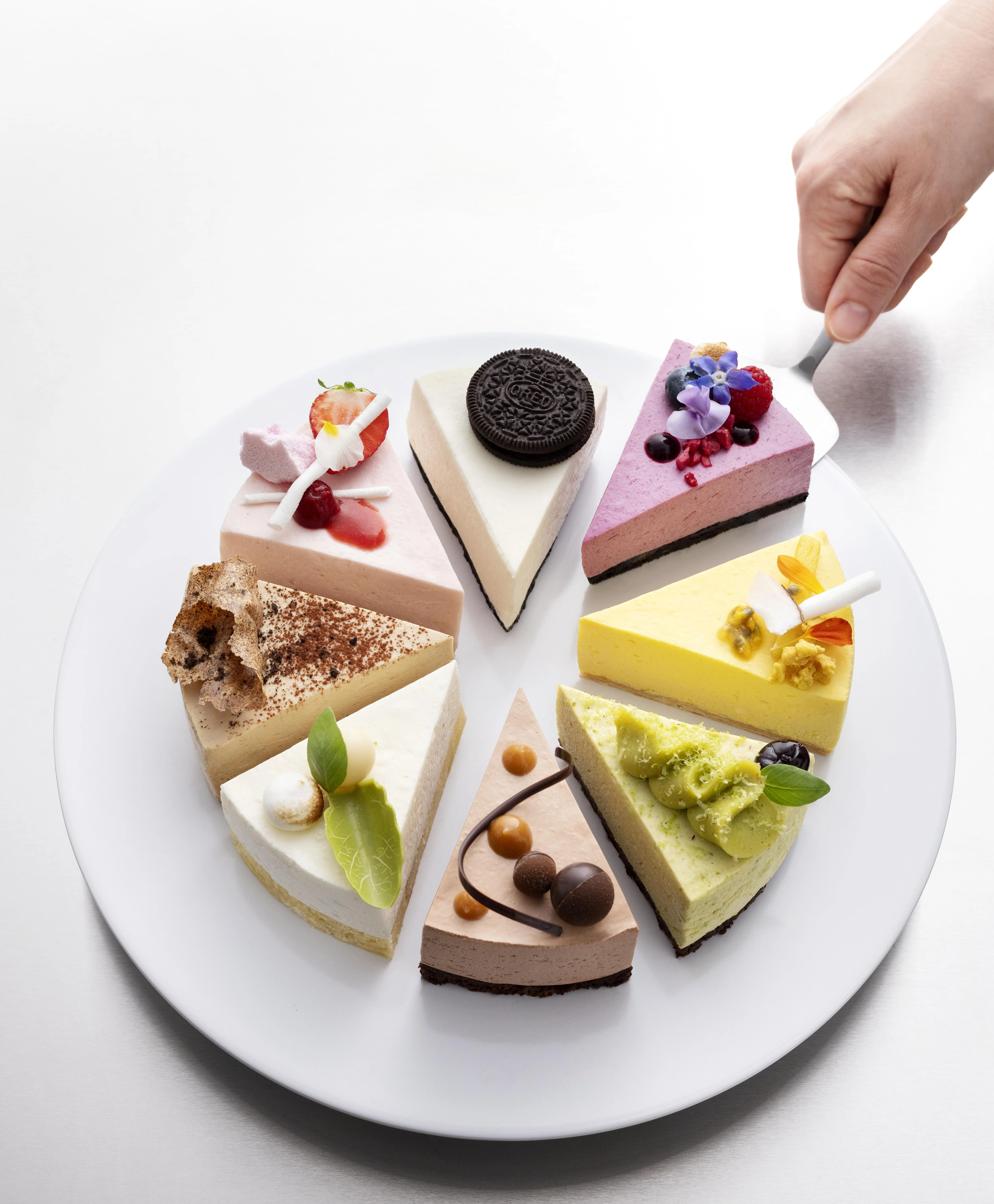 Debic Cheesecake
