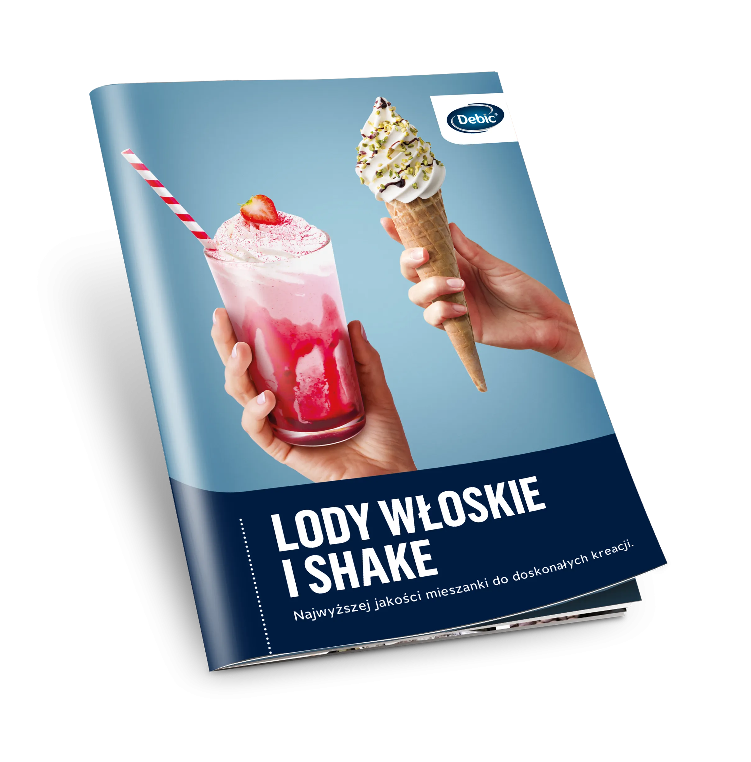 Broszura lody Debic