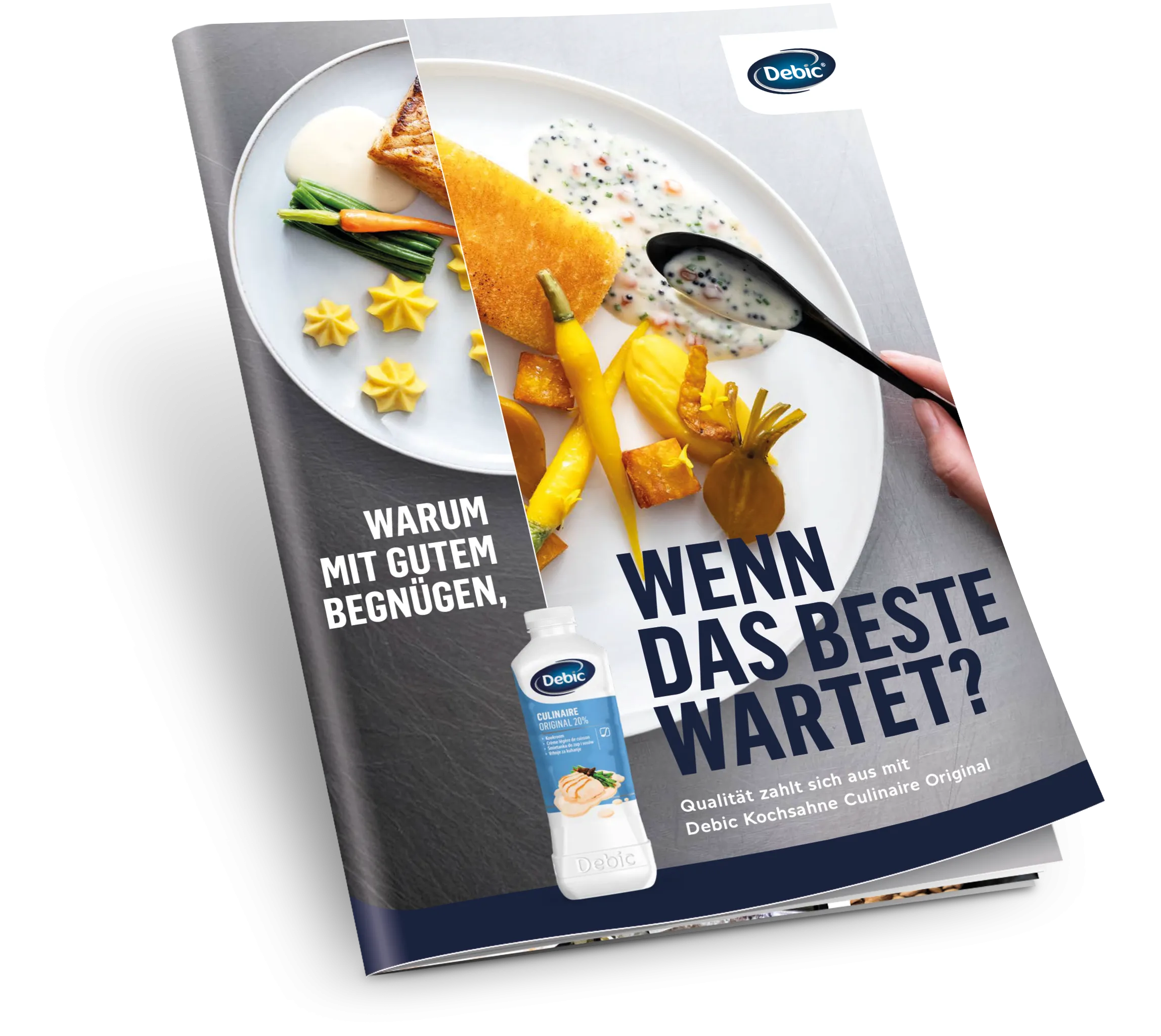  Broschüre herunterladen - photo 4282907-1 | Debic