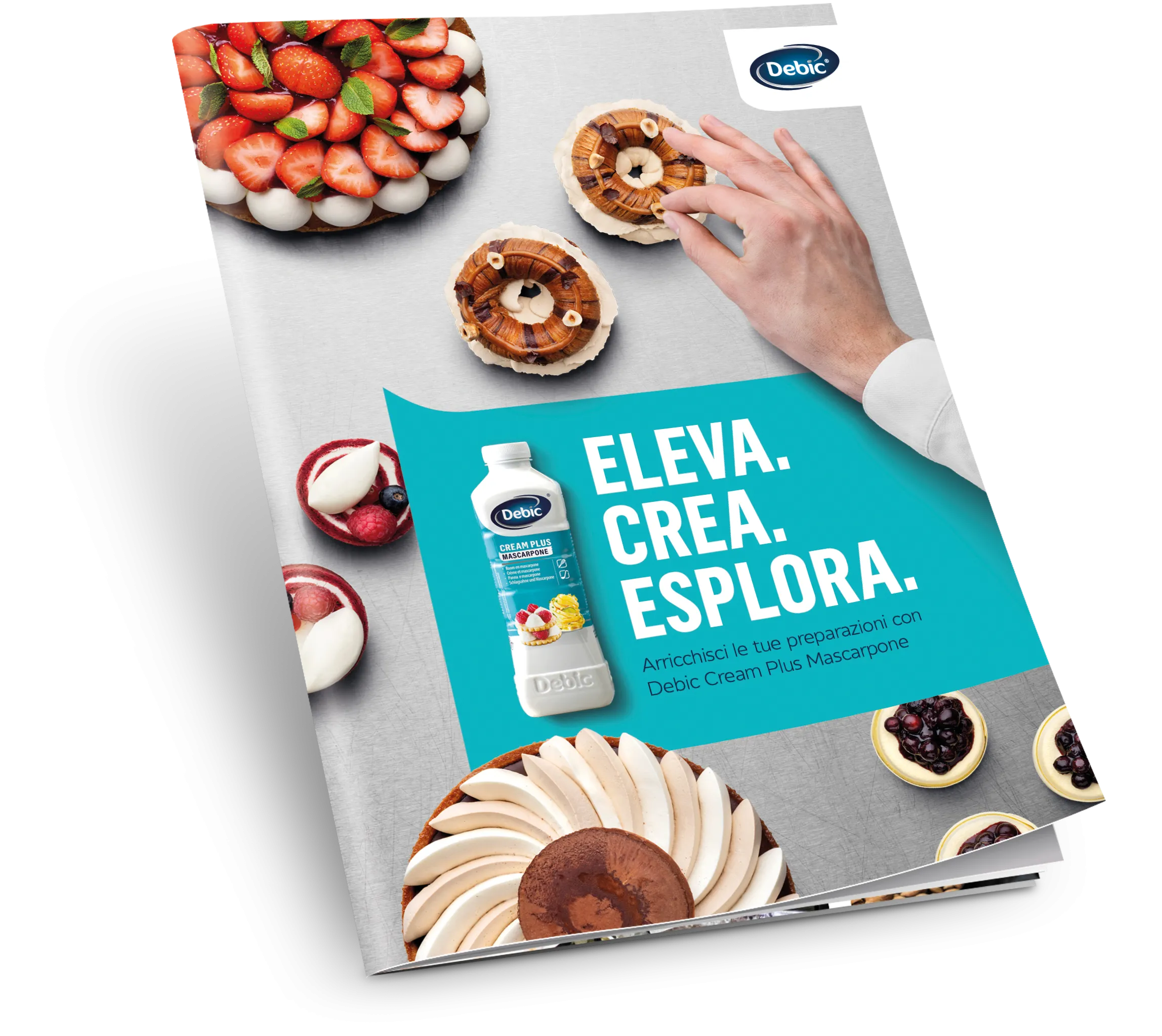 Debic Cream Plus Mascarpone brochure