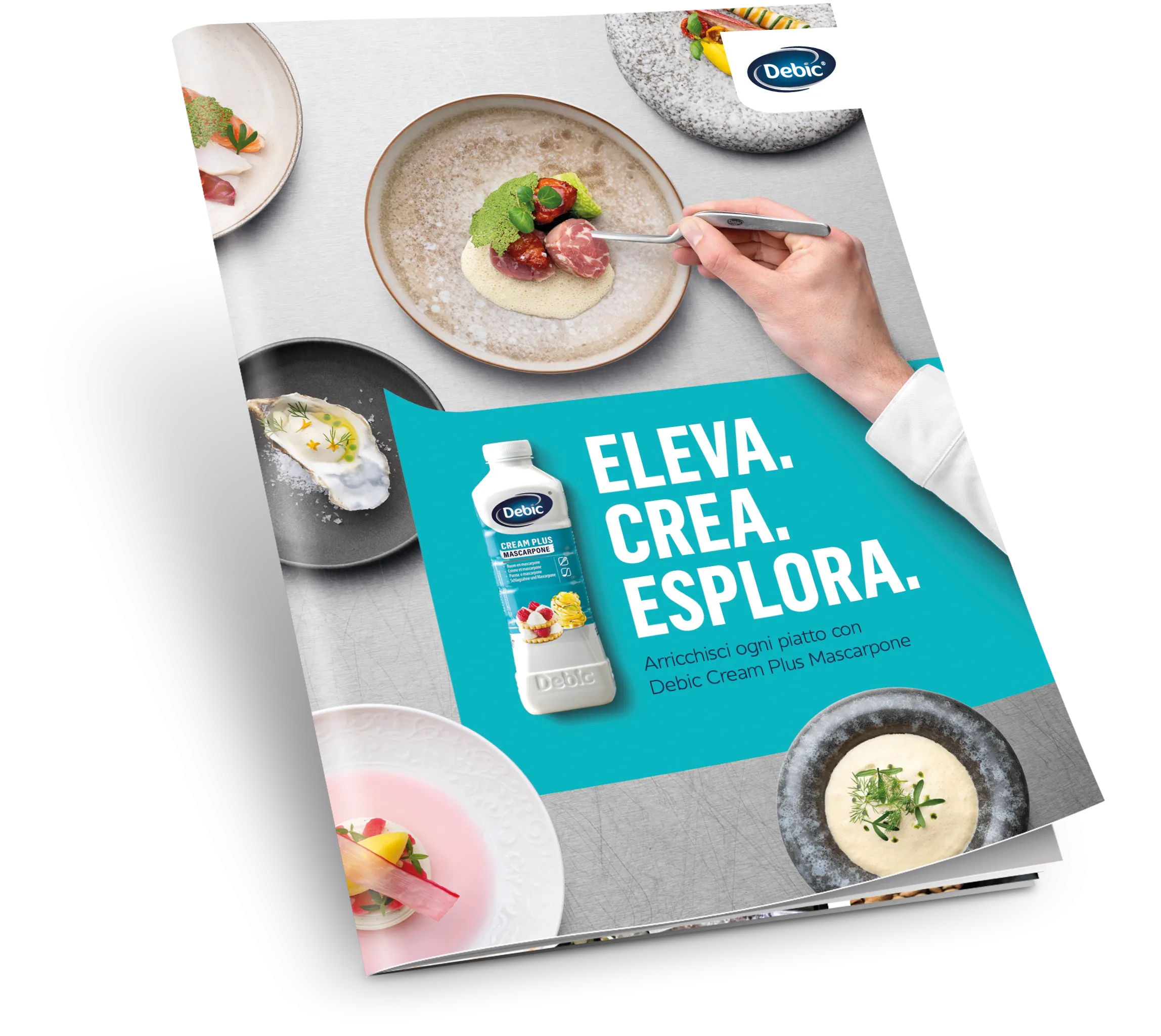 Debic Cream Plus Mascarpone brochure