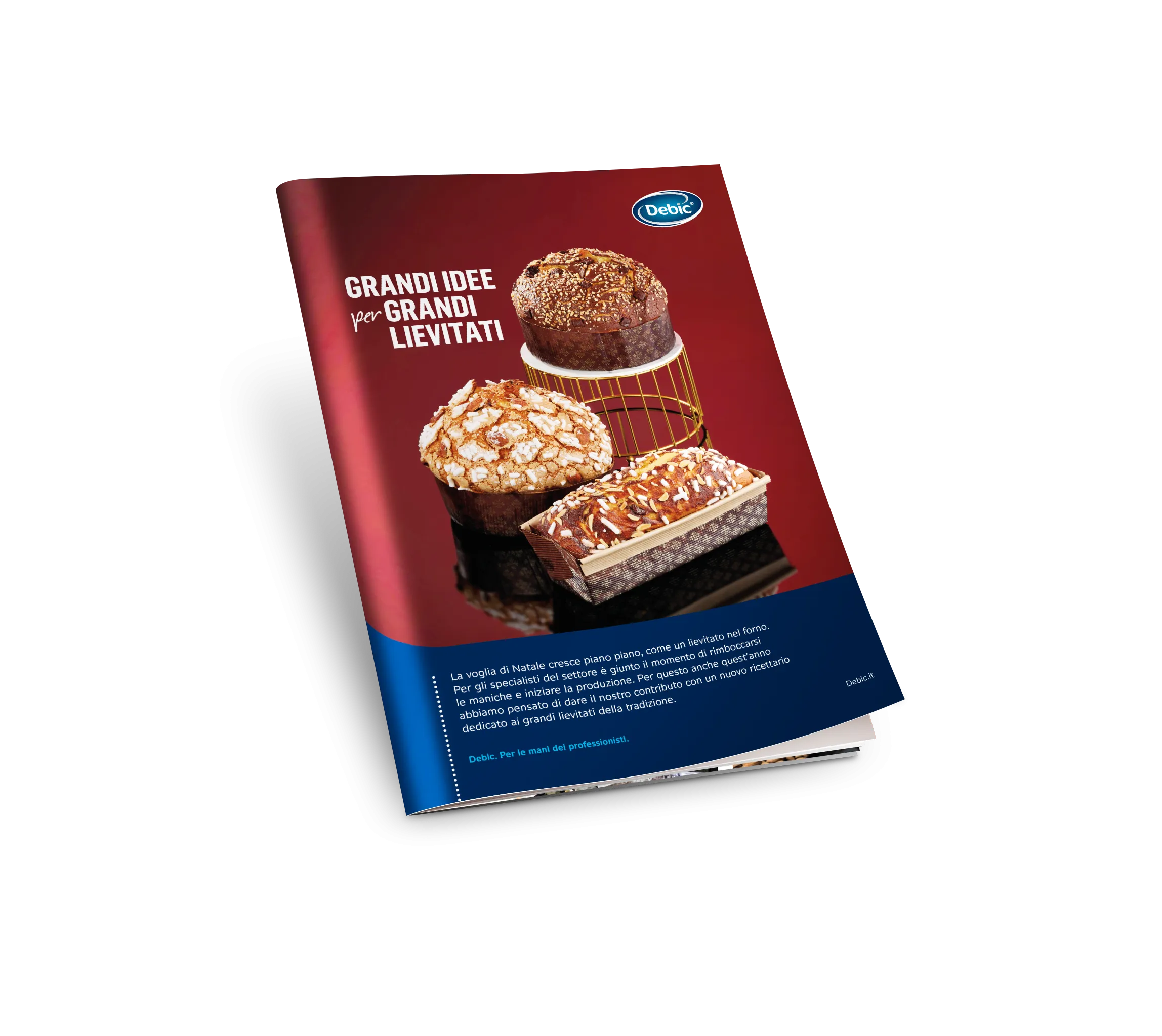 Ricettario Grandi Idee per Grandi Lievitati