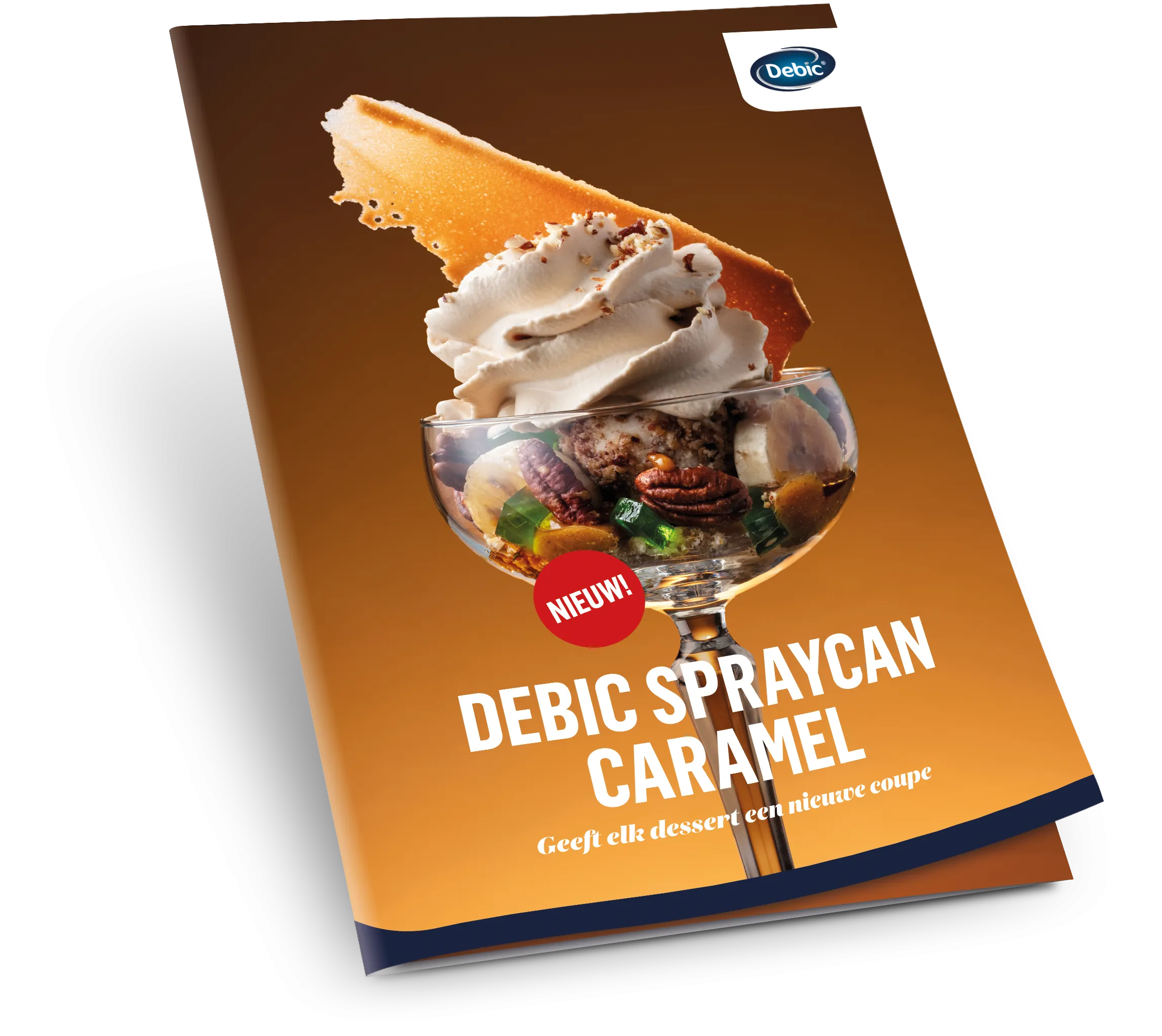 Download de gratis inspiratiebrochure - photo 4323401-1 | Debic