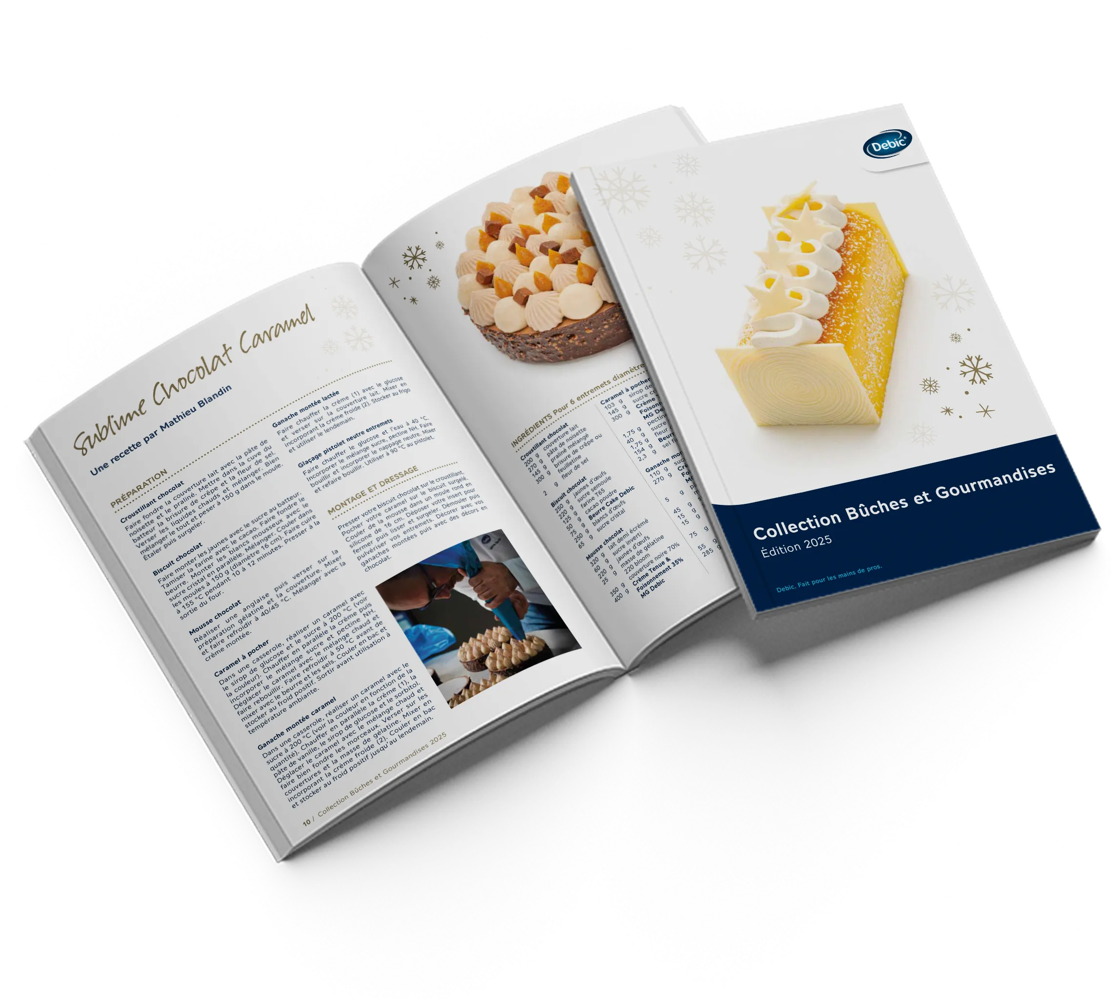 Debic Collection Bûches et Gourmandises