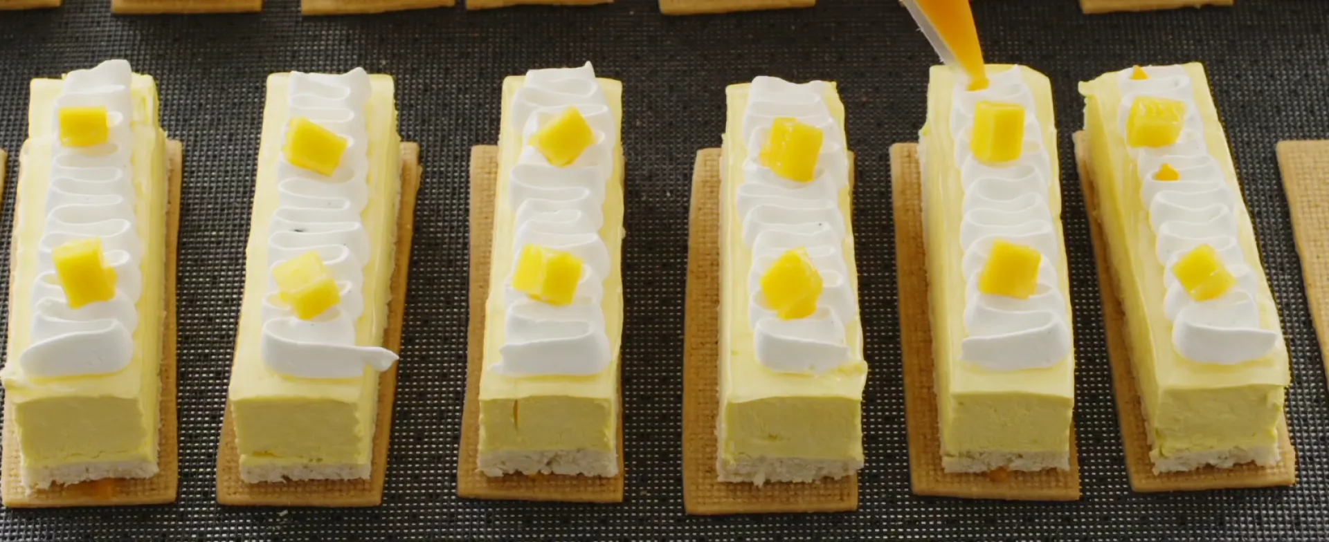 Masterclass vegantop