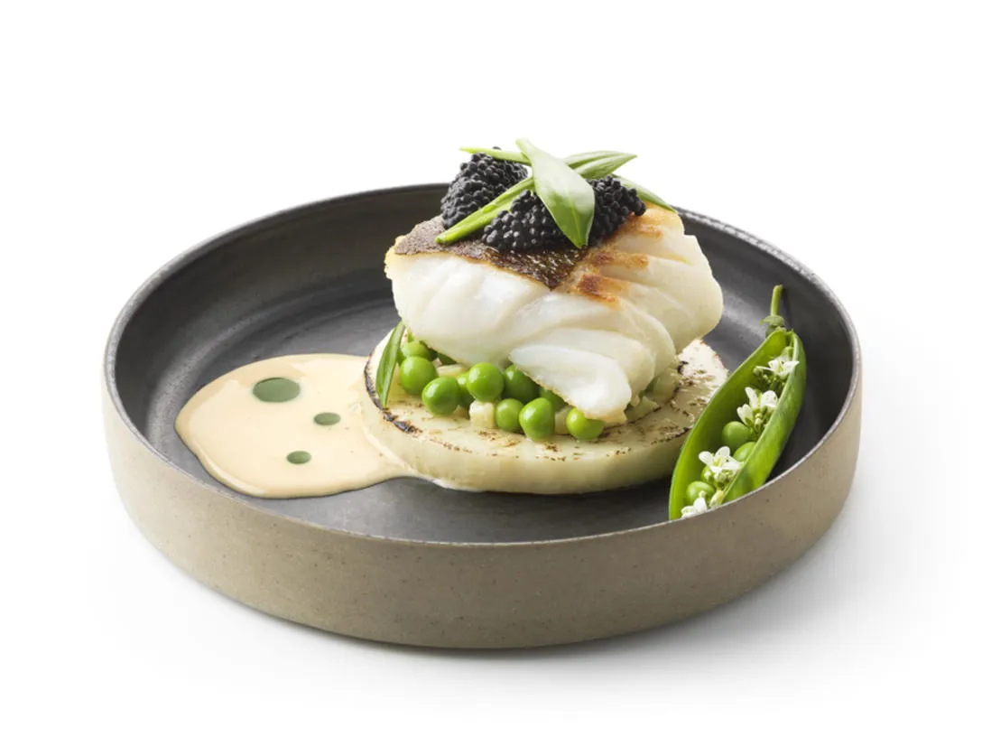 Bacalao de invierno