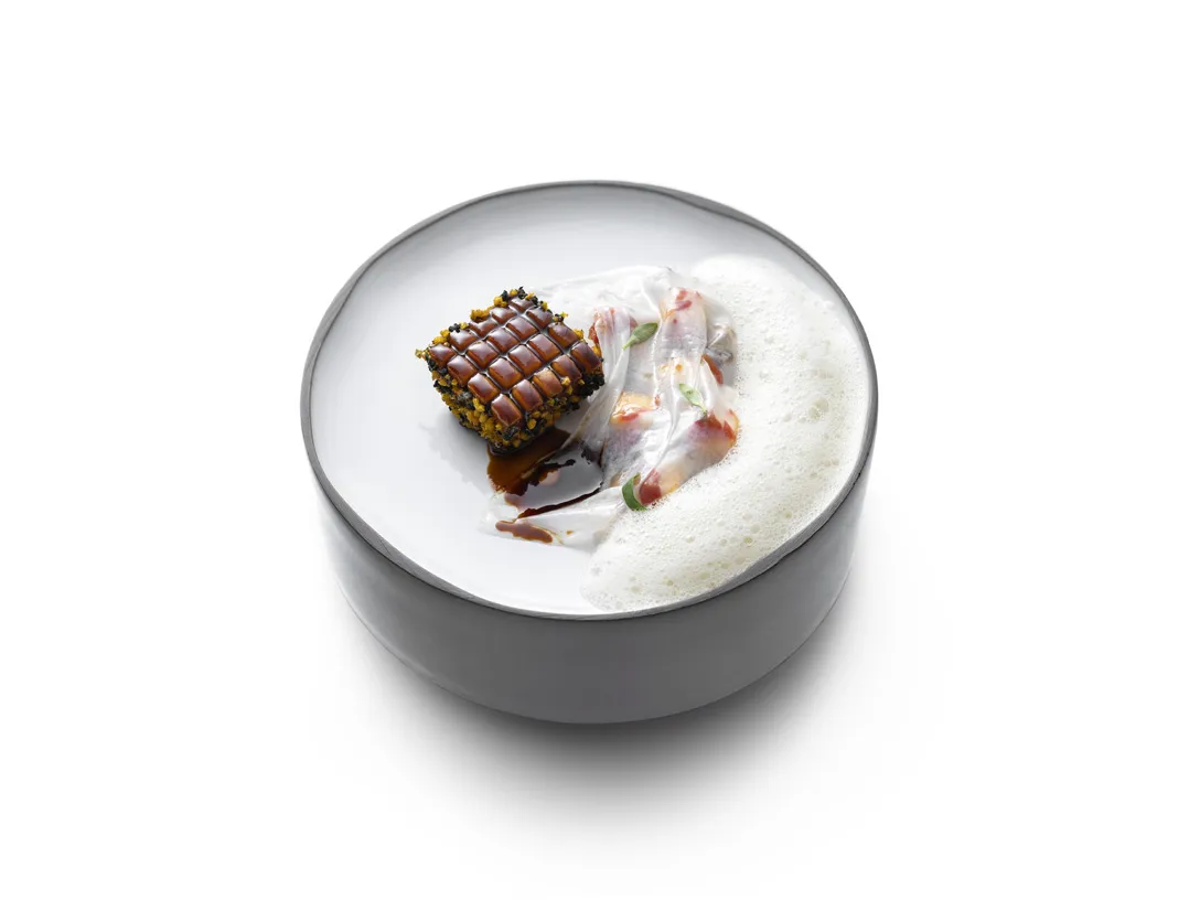 Sepia mit Strandschnecken, Mangosalat und Kardamomschaum