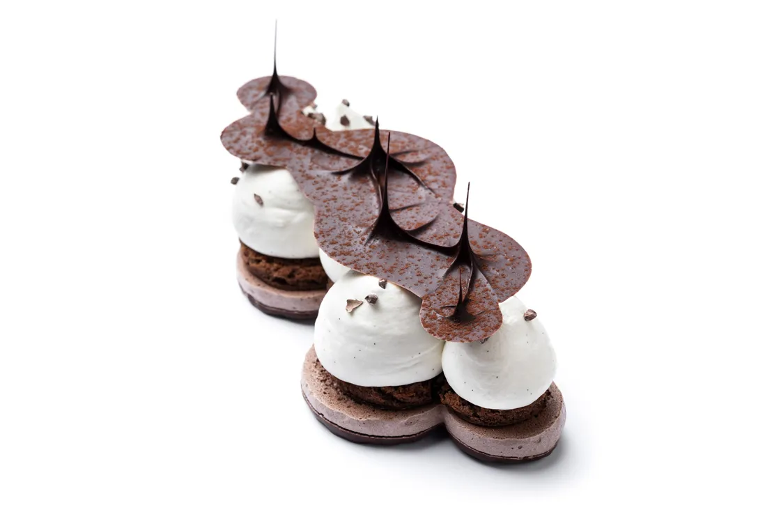 Chocolate Vainilla