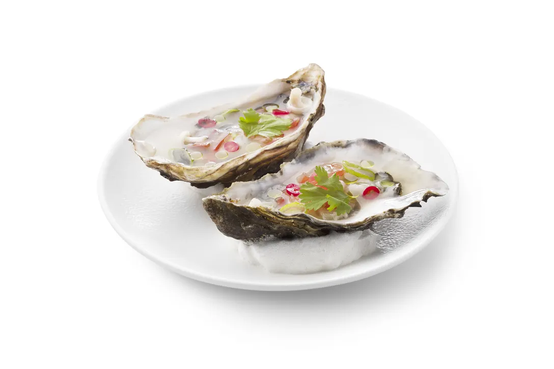 Oesterceviche