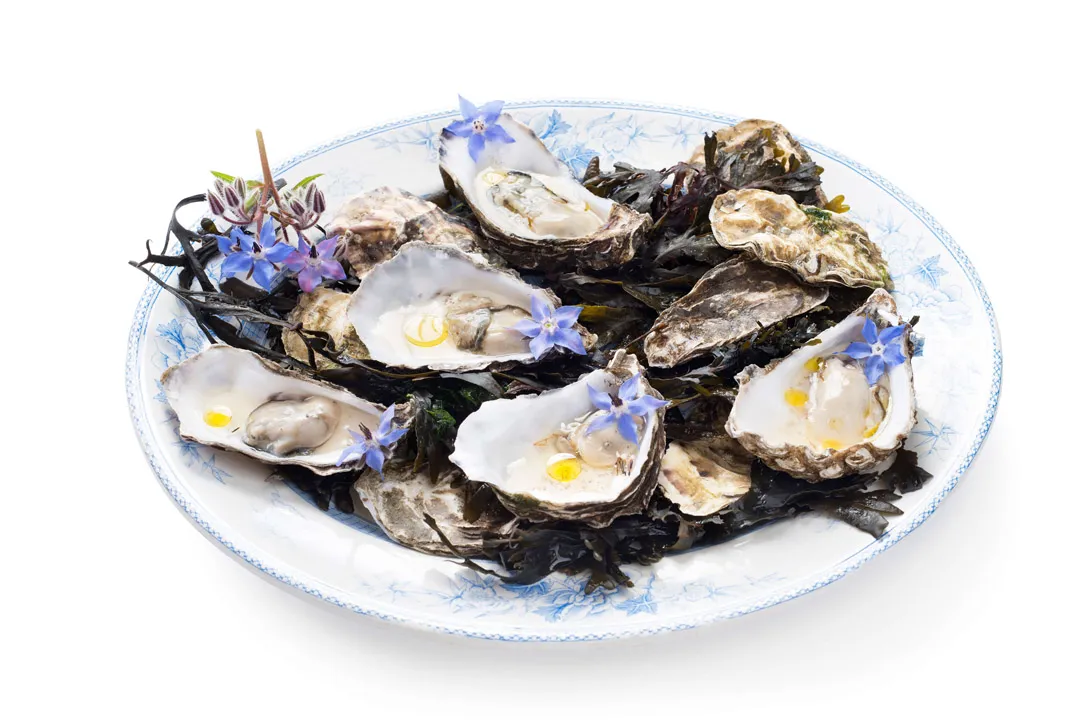 Waddensee' oesters
