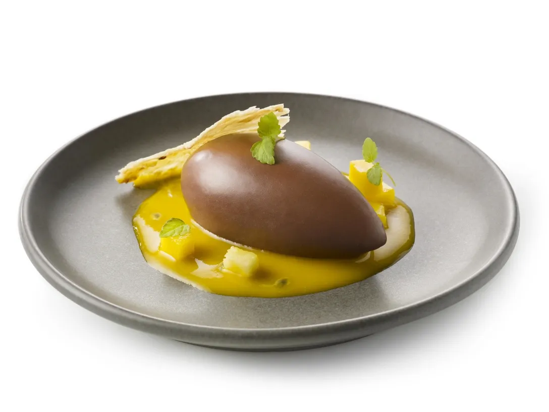A Recipe for Chocolate mousse quenelle with tropical fruit | Debic