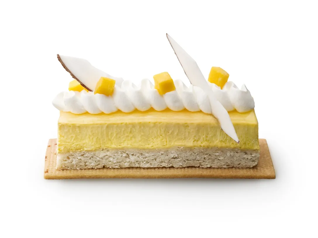 A Recipe for Mango coconut slice | Debic