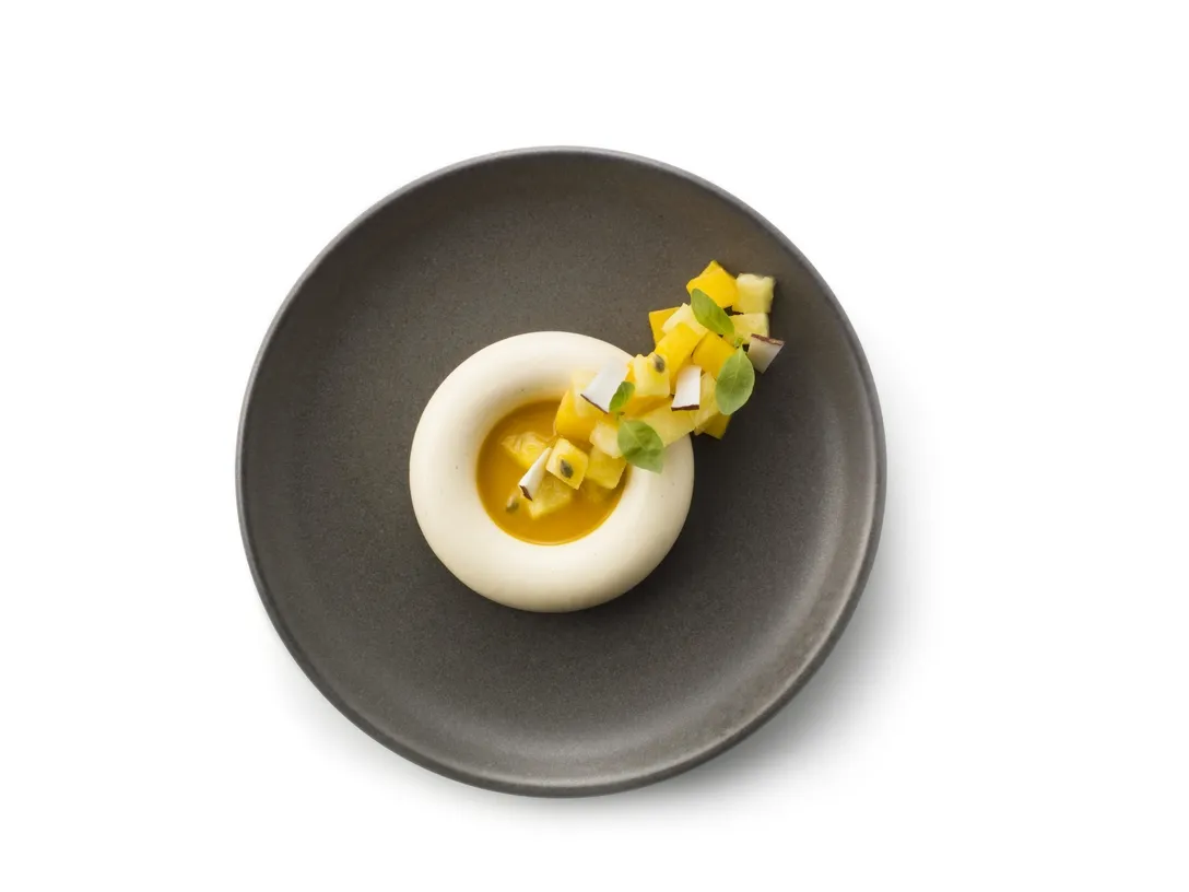 A Recipe for Panna cotta ring with tropical fruit | Debic