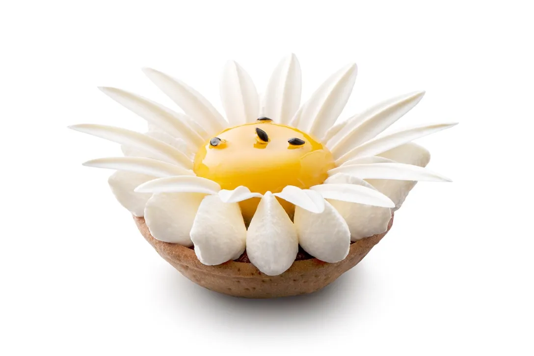 Daisy