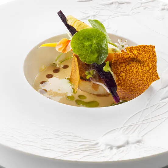 A Recipe for Scallop | Debic