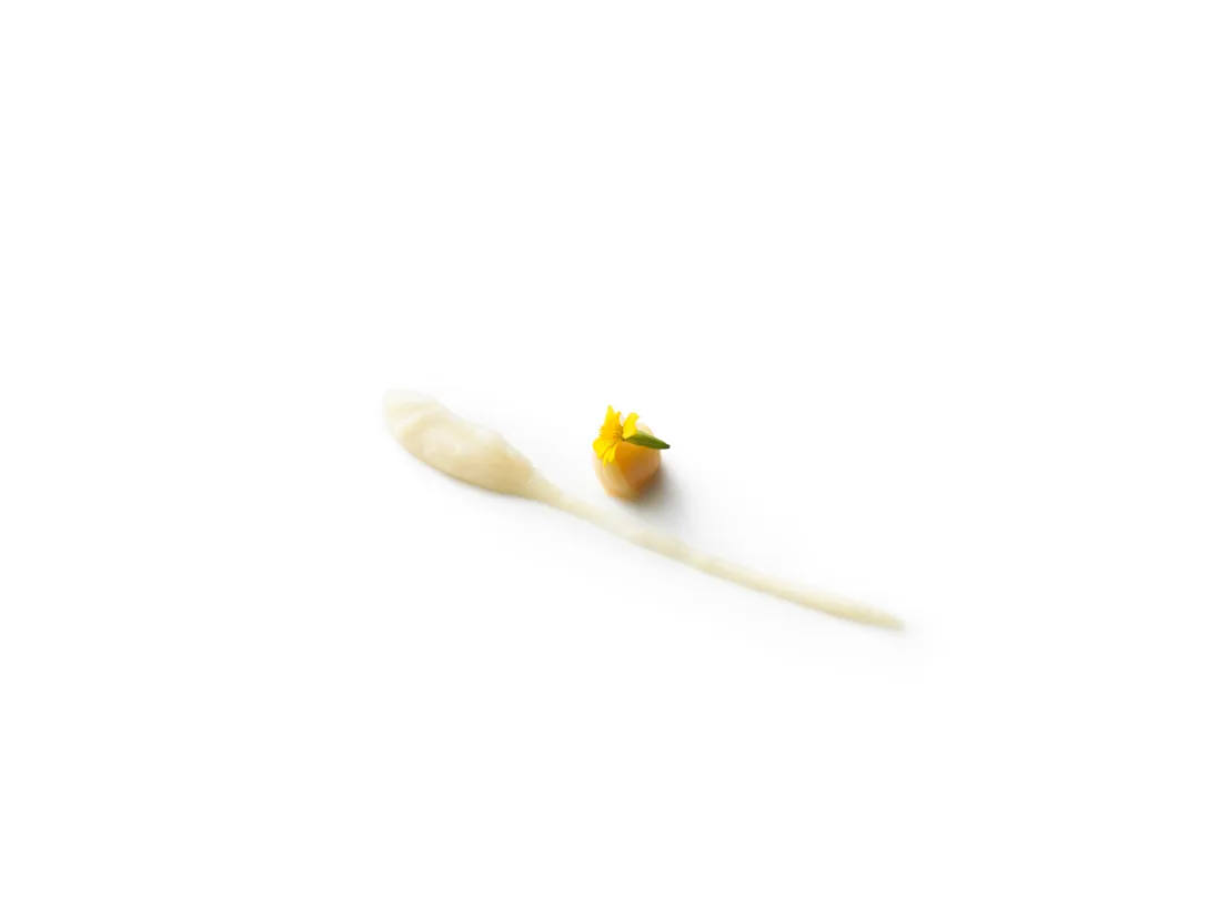 Crème van knolselder