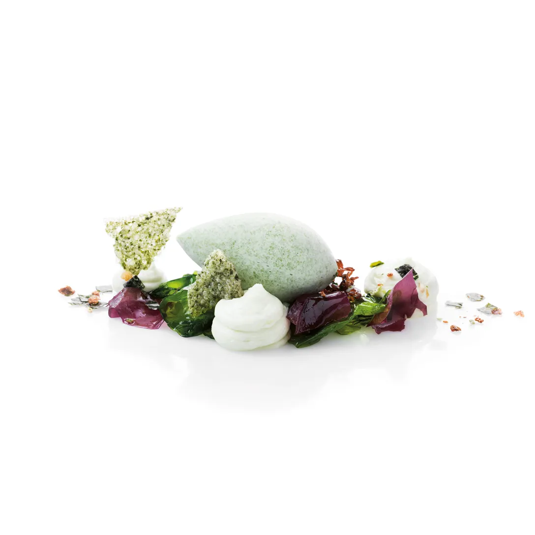 Mousse van zeesla