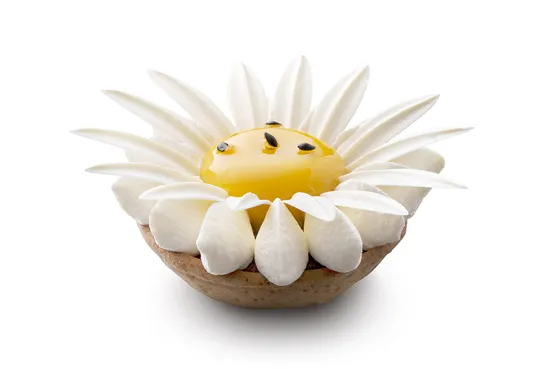 Daisy