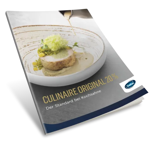 DEBIC CULINAIRE ORIGINAL 20 %