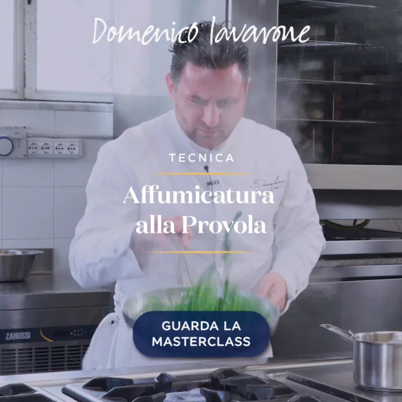 Le tecniche di Domenico Iavarone