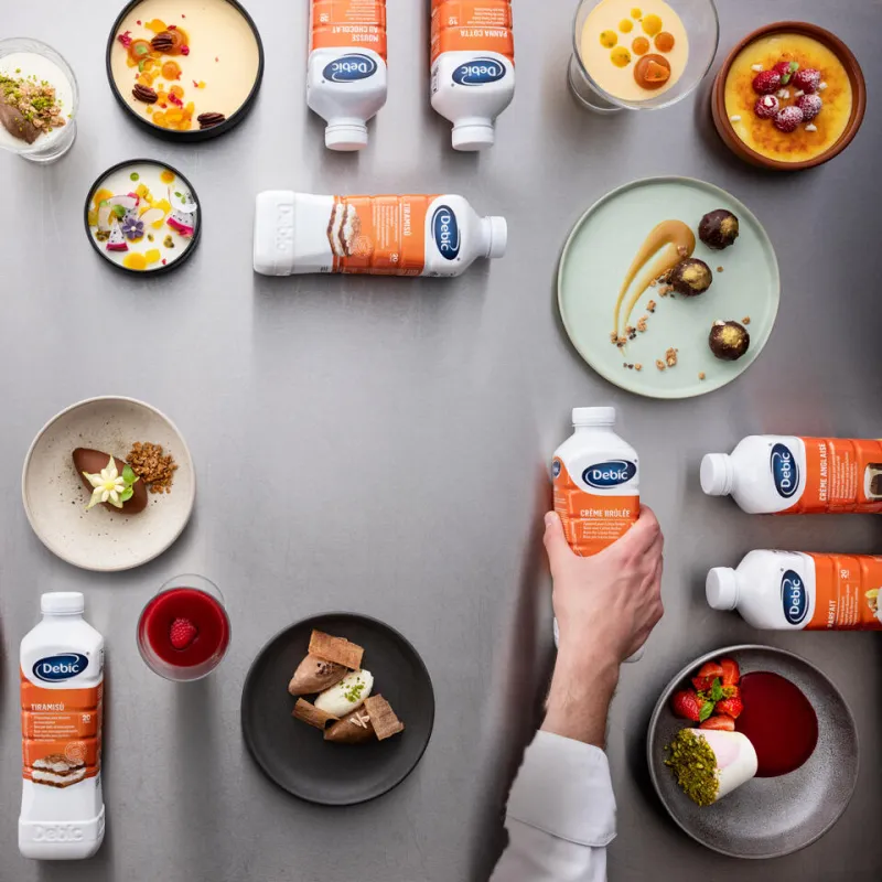 Recetario Debic HIP 2025