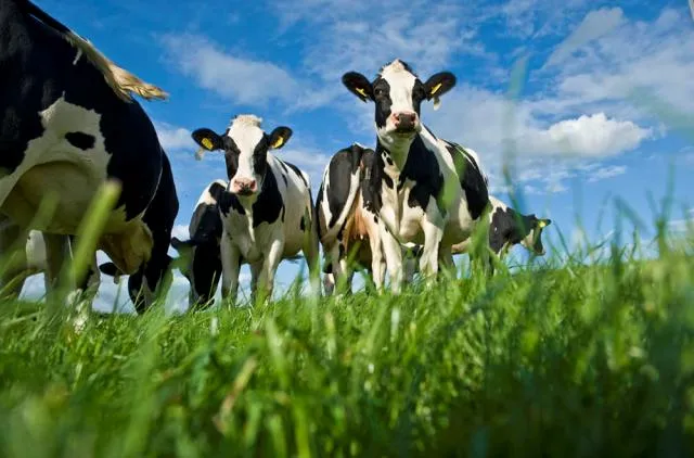 Meld je hier aan voor de boerderijdag 2026